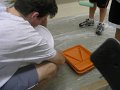 Bill Shea's Eagle Project 027